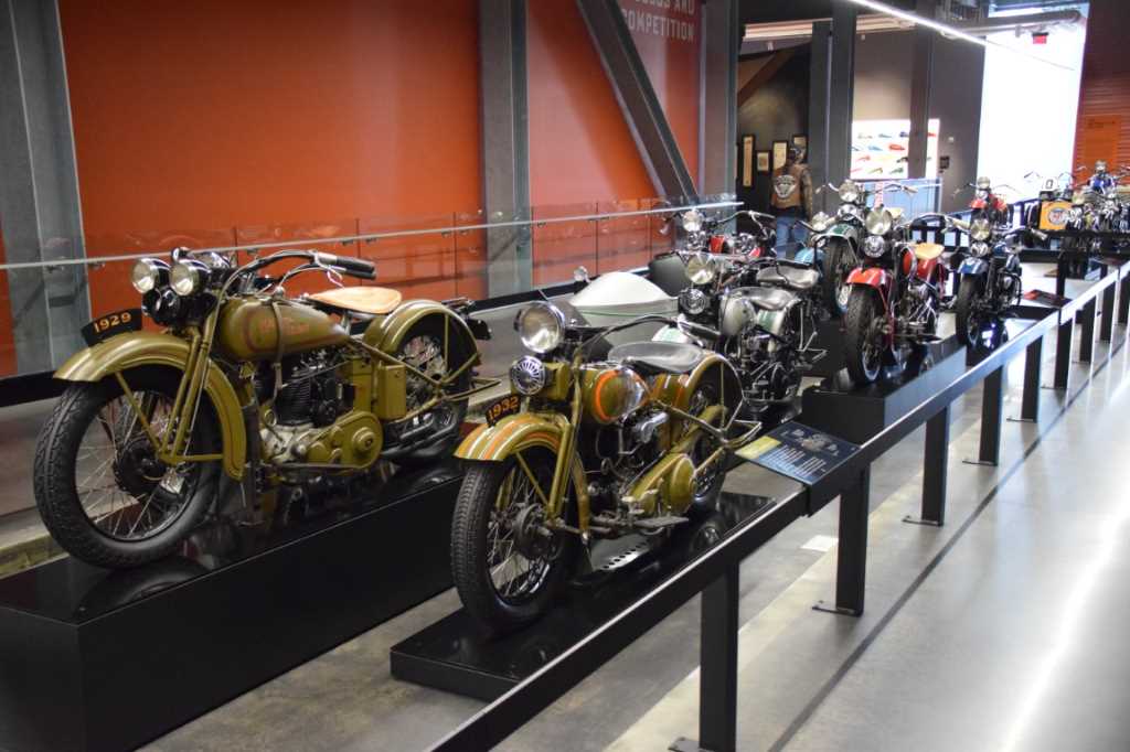 DSC_0054Mittel_.JPG